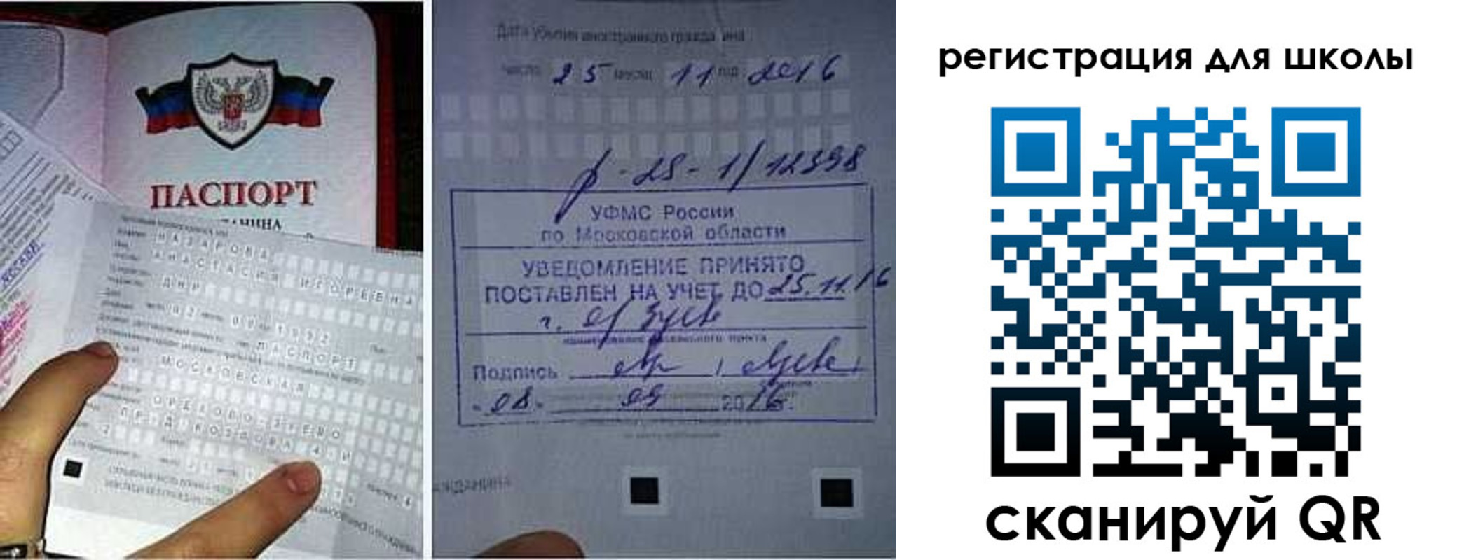 временная регистрация для всех в Светлогорске