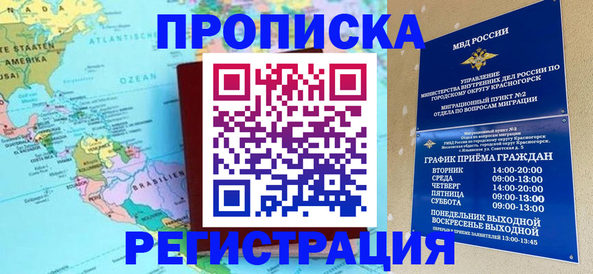 прописка для работы в Светлогорске